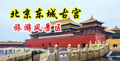 免费尻屄视频中国北京-东城古宫旅游风景区